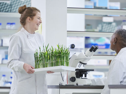 現代の植物栽培