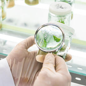 私たちの認証のおかげで、私たちはすべての市場要件と安全基準を満たしています。