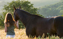 オールスパン・ジャーマン・ホース