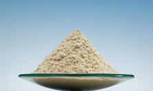 フィルトラセル