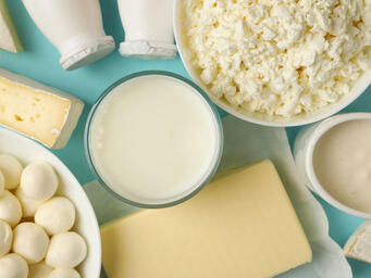 乳製品と代用乳