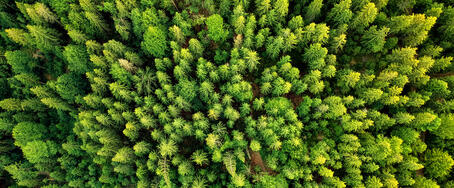 MCG -微結晶セルロースゲル