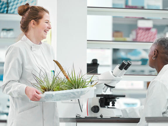 医薬品賦形剤および食品原料の粉砕