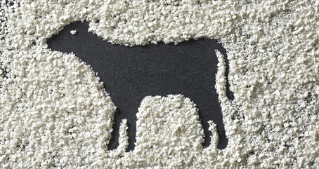 ビタセル®の適用と推奨用量