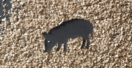 ビタセル®の適用と推奨用量