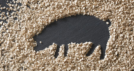 ビタセル®の適用と推奨用量