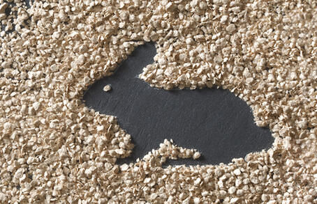 ビタセル®の適用と推奨用量