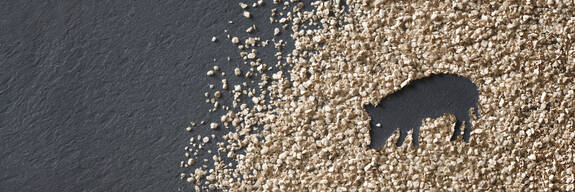 子豚用「Arbocel®」（アルボセル