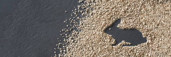 ウサギ用「Arbocel®」（アルボセル