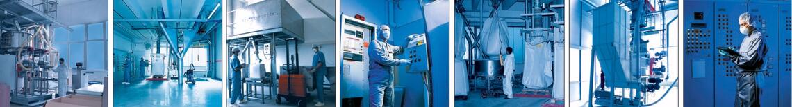 プロダクション・サービス・プロバイダー