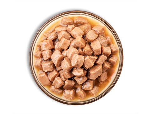 ウェットフード