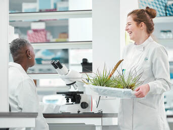 JRS VIVAPURによるスプレー特性の改善