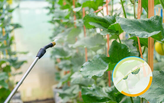 JRS VIVAPUR® でのすすぎ洗いは避けてください。