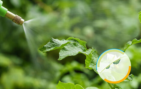 キサンタンガムの代替により噴霧性を改善。