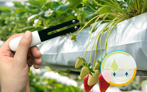 乾燥、水分管理