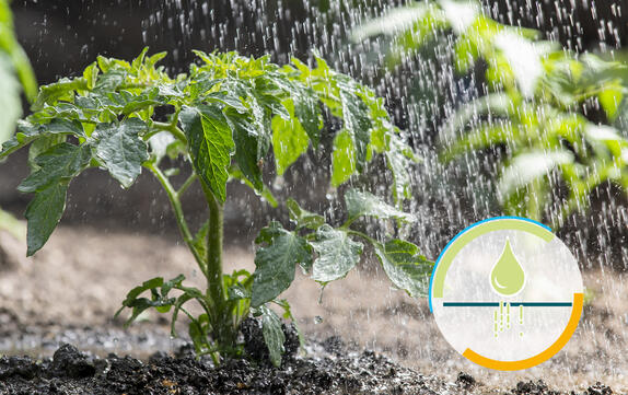 泥炭含有基材用有機湿潤剤