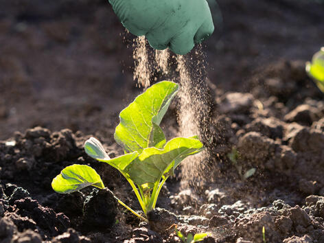 JRS ARBOCEL®による完璧な投与能力