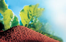 種子ペレット化