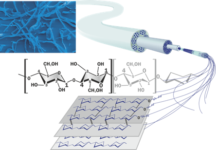 セルロース繊維