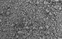 ビバプールMCG 811