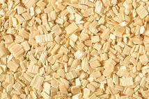 スプルース/モミ