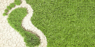 インジェクション緑化