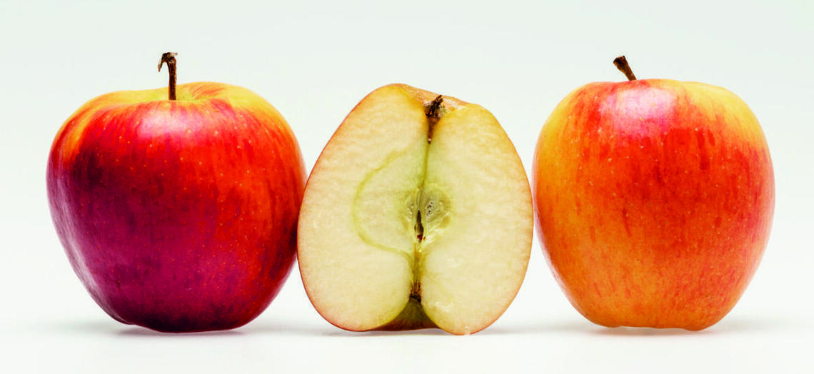 アップルファイバー